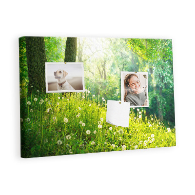 Memo cork board Spring Nature