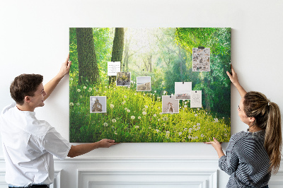 Memo cork board Spring Nature