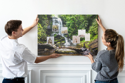 Cork board Waterfall in forest