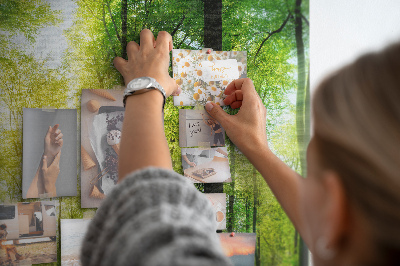 Cork display board Nature panorama