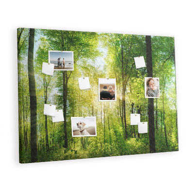 Cork display board Nature panorama