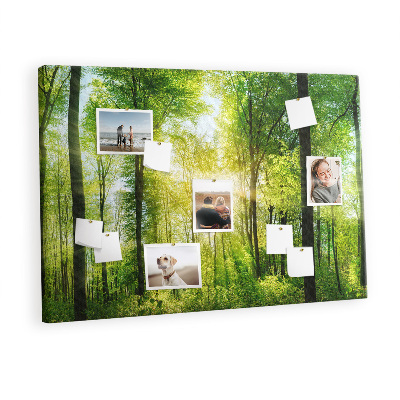 Cork display board Nature panorama