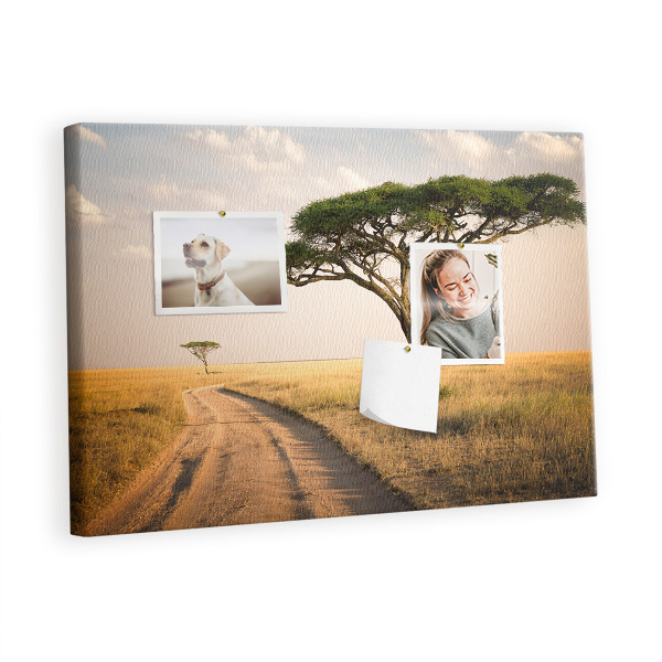 Cork board African landscape