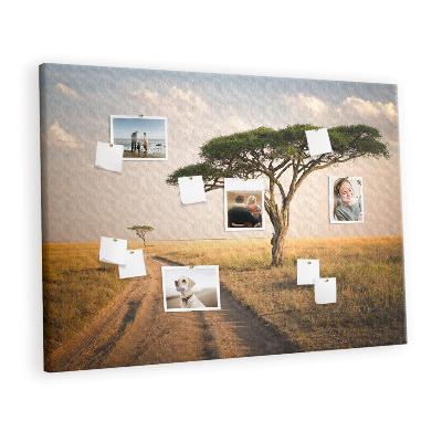 Cork board African landscape