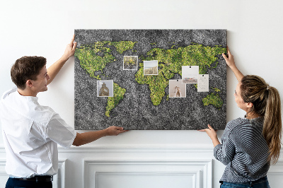 Cork board World map