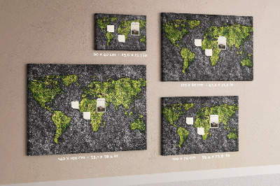 Cork board World map