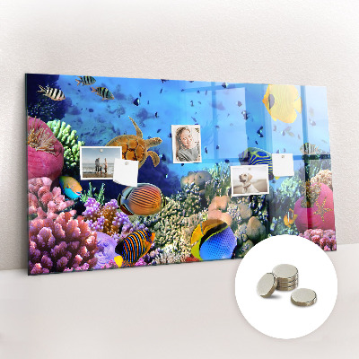 Magnetic bulletin board Underwater life