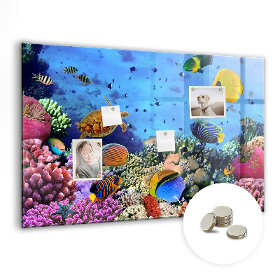 Magnetic bulletin board Underwater life