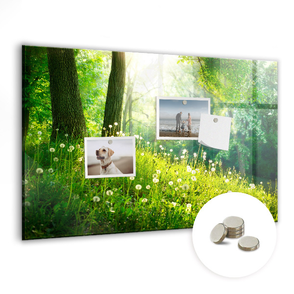 Magnetic photo board Spring nature