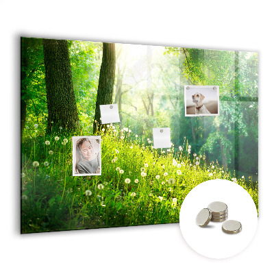 Magnetic photo board Spring nature