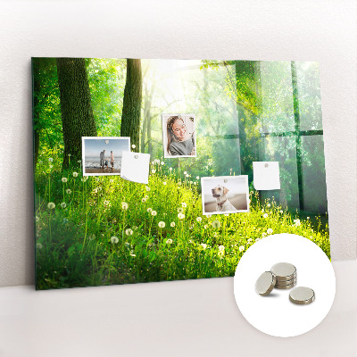 Magnetic photo board Spring nature