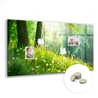 Magnetic photo board Spring nature