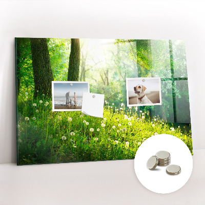 Magnetic photo board Spring nature