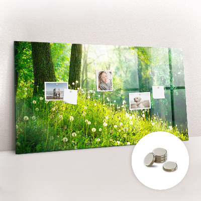 Magnetic photo board Spring nature