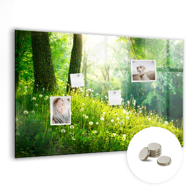 Magnetic photo board Spring nature