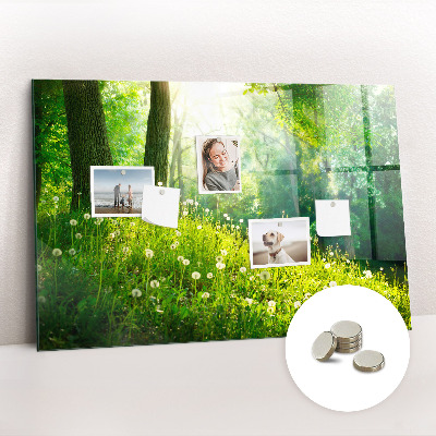 Magnetic photo board Spring nature