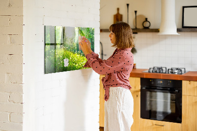 Magnetic photo board Spring nature