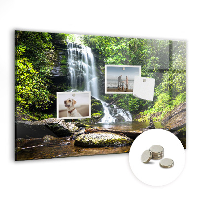 Magnetic photo board Forest waterfall