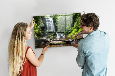 Magnetic photo board Forest waterfall