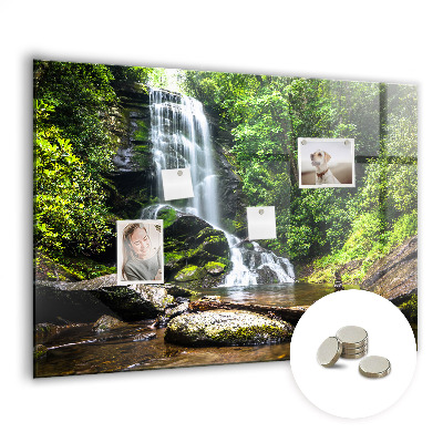 Magnetic photo board Forest waterfall