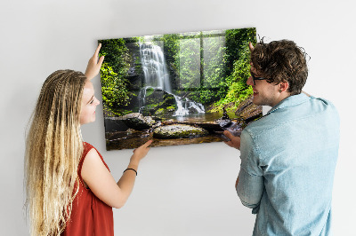 Magnetic photo board Forest waterfall