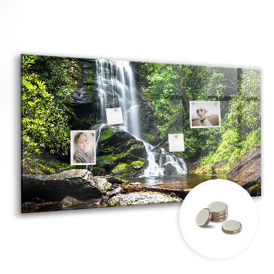 Magnetic photo board Forest waterfall