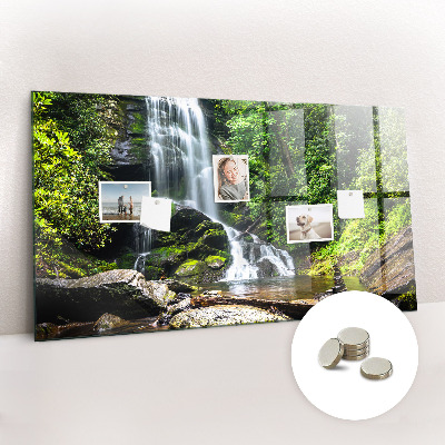 Magnetic photo board Forest waterfall