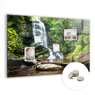 Magnetic photo board Forest waterfall