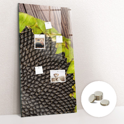 Magnetic board Sunflower seeds