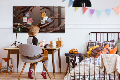 Magnetic board for wall Cocoa