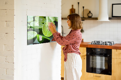 Magnetic board for wall Lime pieces