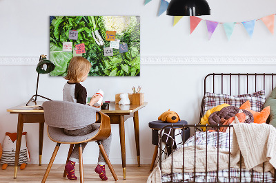 Magnetic board for wall Green vegetables