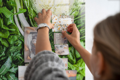 Magnetic board for wall Green vegetables