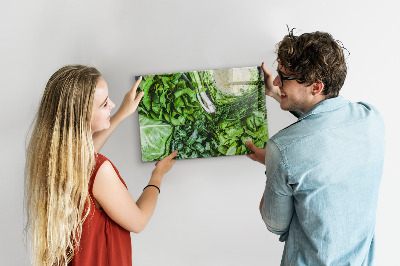 Magnetic board for wall Green vegetables