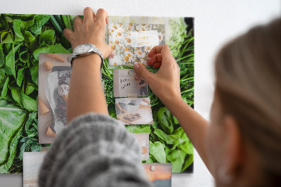 Magnetic board for wall Green vegetables