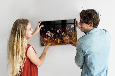 Magnetic board for wall Vegetables