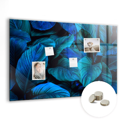 Magnetic photo board Tropical nature