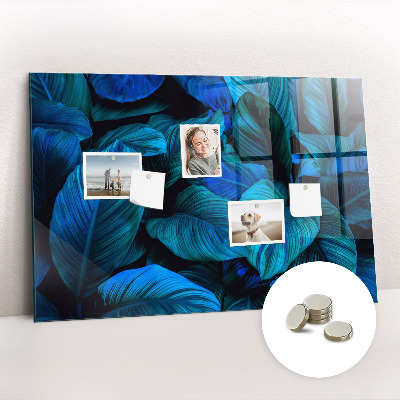 Magnetic photo board Tropical nature