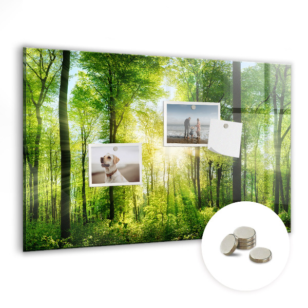 Magnetic photo board Forest