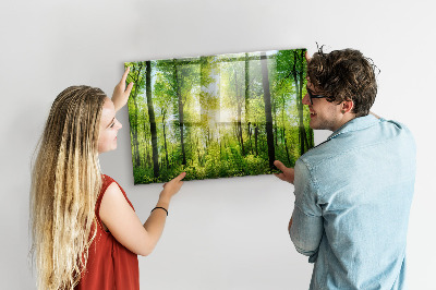 Magnetic photo board Forest