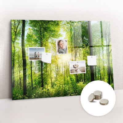 Magnetic photo board Forest