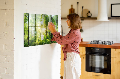 Magnetic photo board Forest