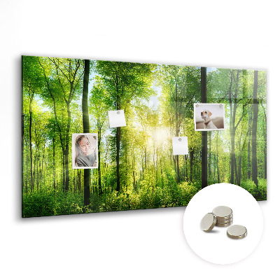 Magnetic photo board Forest