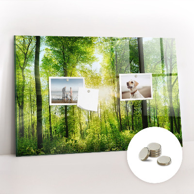 Magnetic photo board Forest