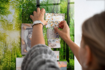 Magnetic photo board Forest