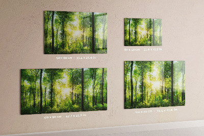 Magnetic photo board Forest