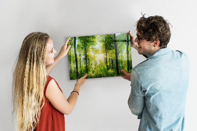 Magnetic photo board Forest