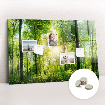 Magnetic photo board Forest