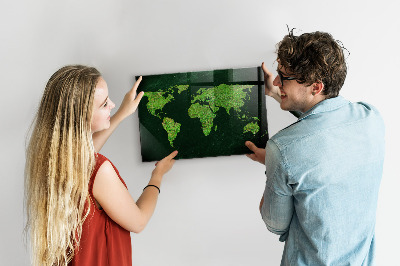 Decorative magnetic board Grassy map of the world