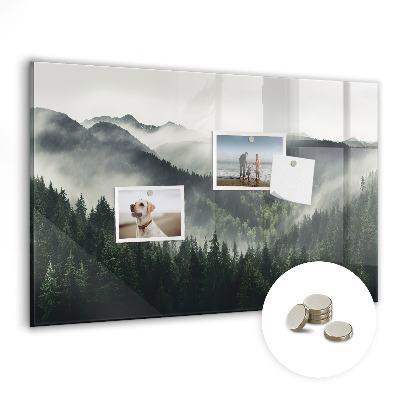 Magnetic photo board Forest landscape